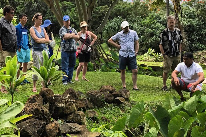 Guests visiting Loi'i (Taro) Patch 